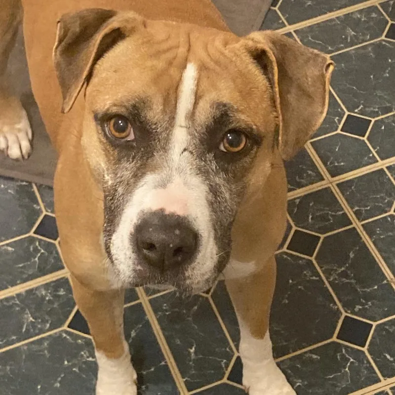 Mulan  Pro Nature thumbnail 2