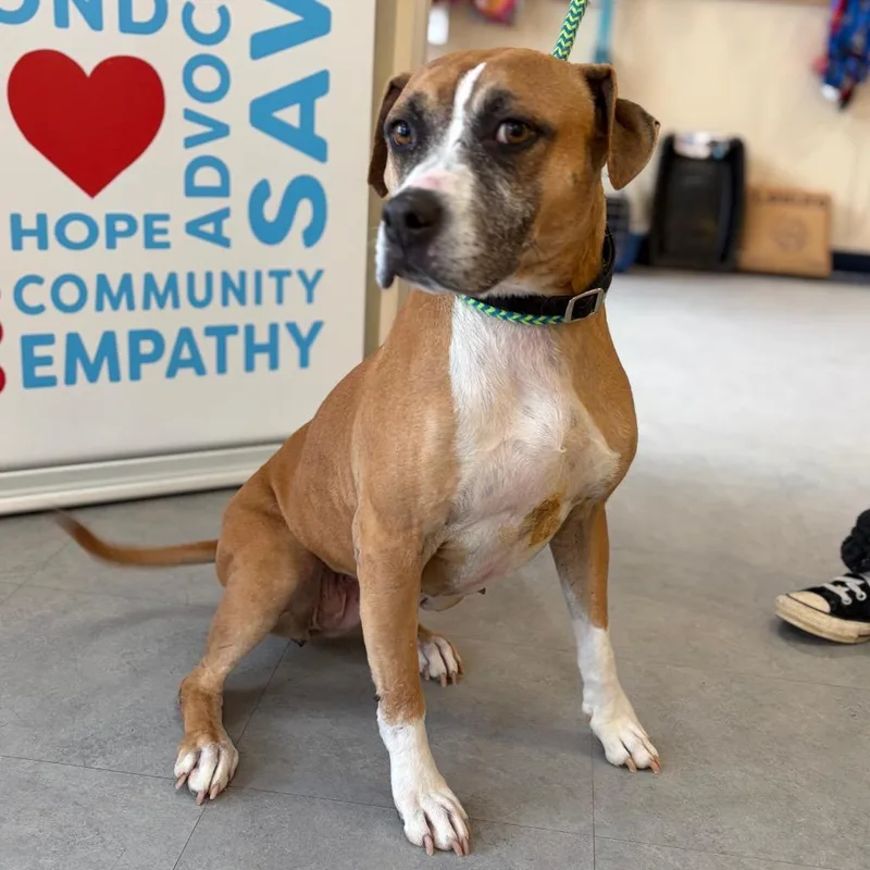 Mulan  Pro Nature thumbnail 3