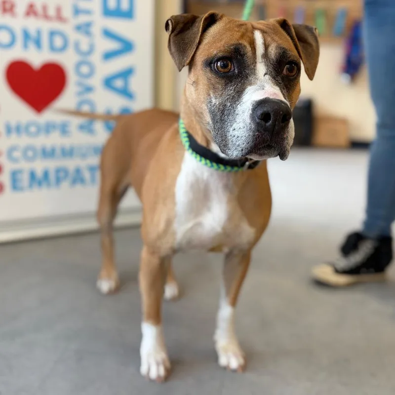 Mulan  Pro Nature thumbnail 5