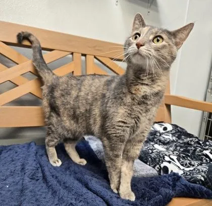 Moira Rose thumbnail 2