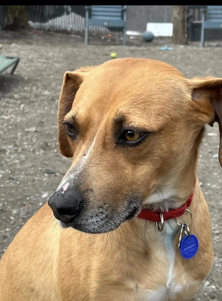 Umbrella thumbnail 2