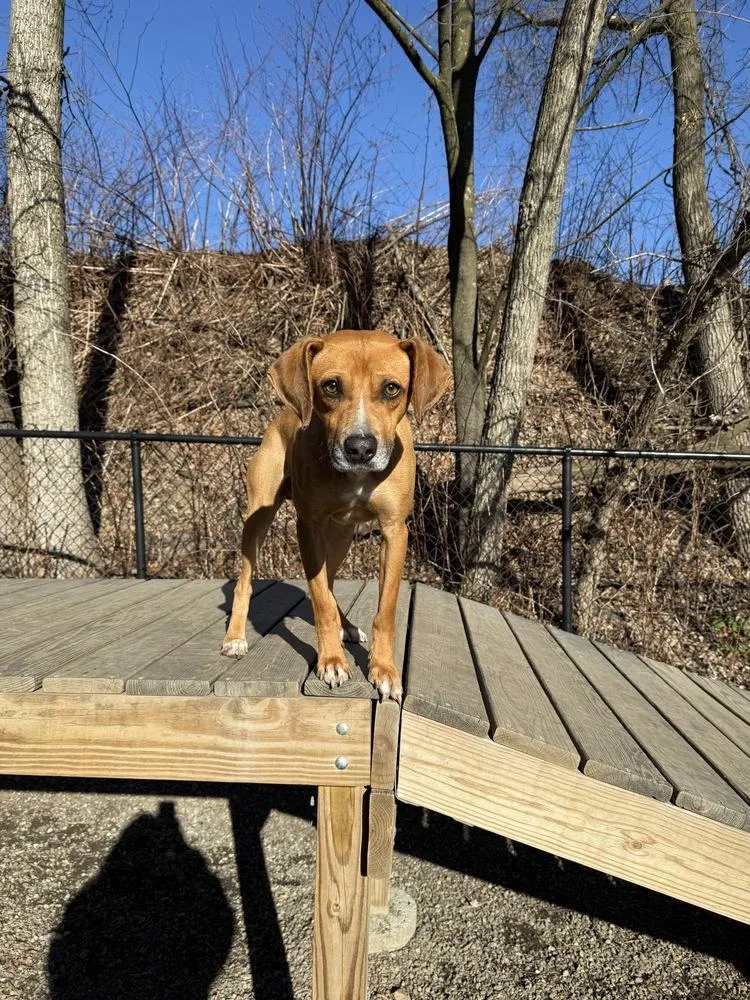 Umbrella thumbnail 3