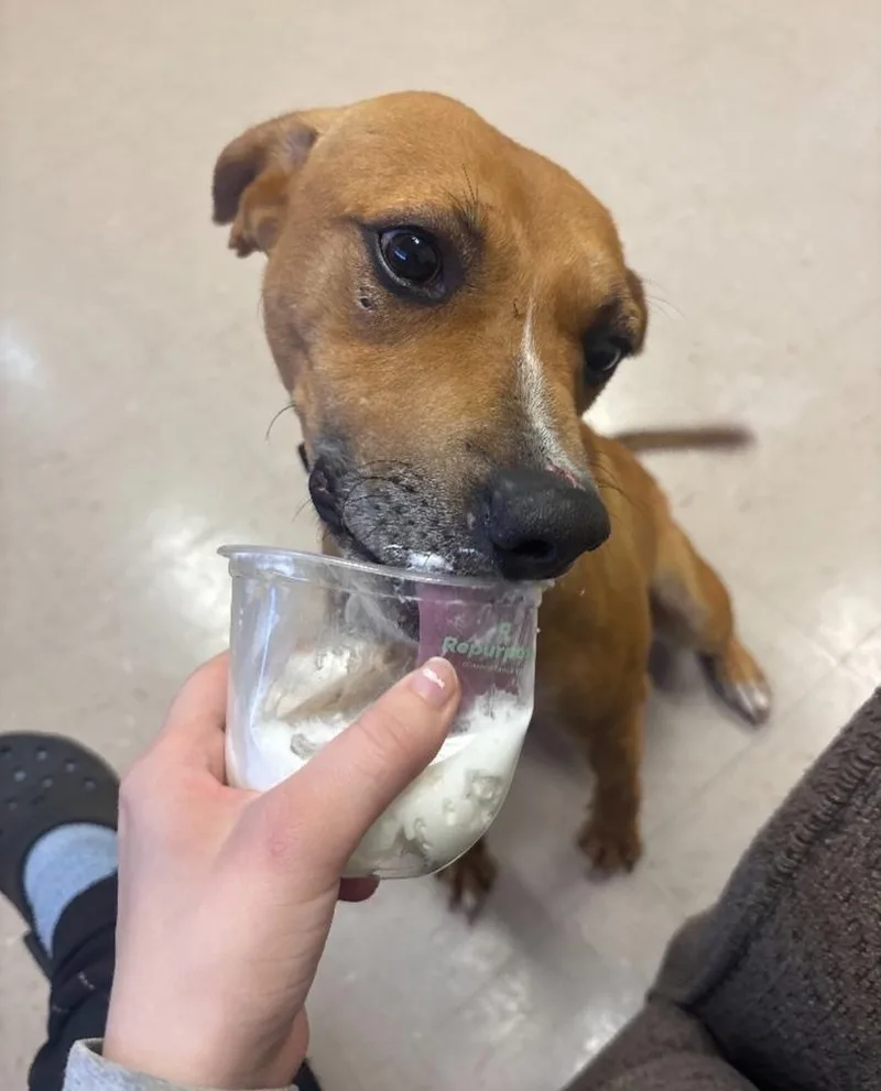 Umbrella thumbnail 4