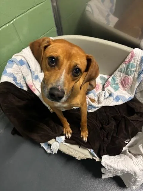 Umbrella thumbnail 5