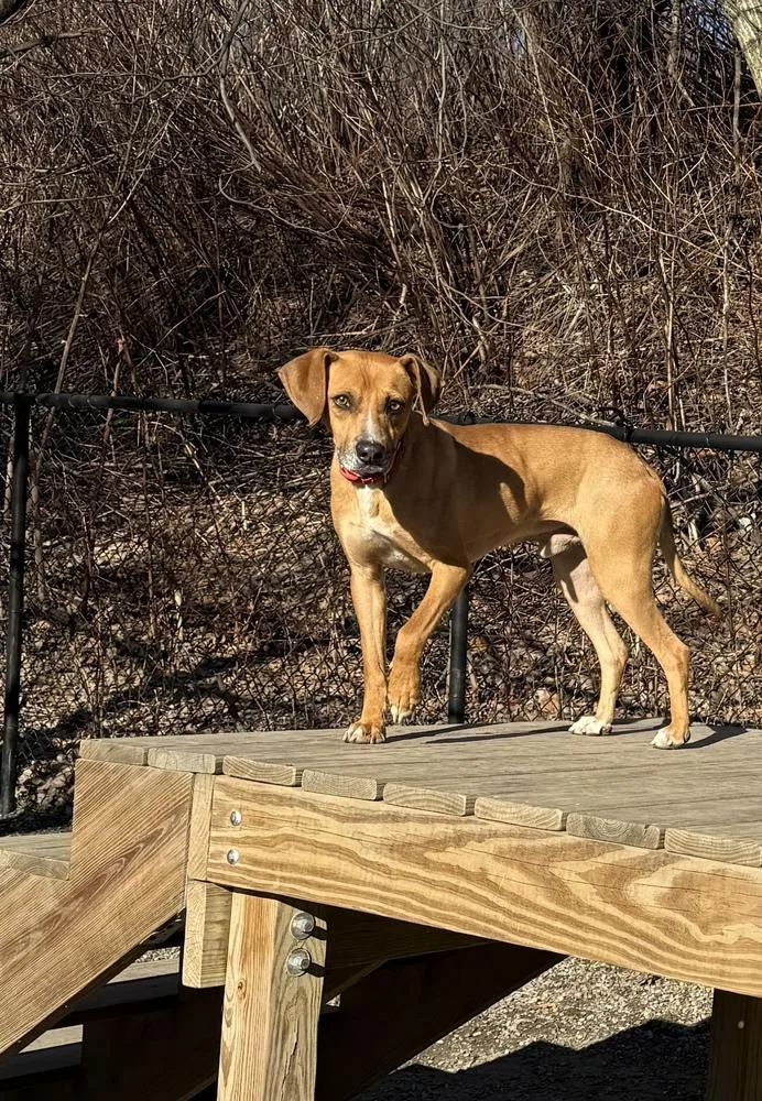 Umbrella thumbnail 6