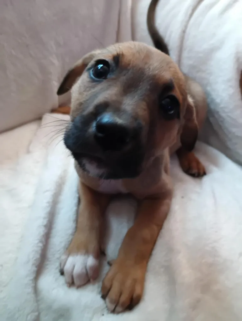 Gabriel $ thumbnail 2