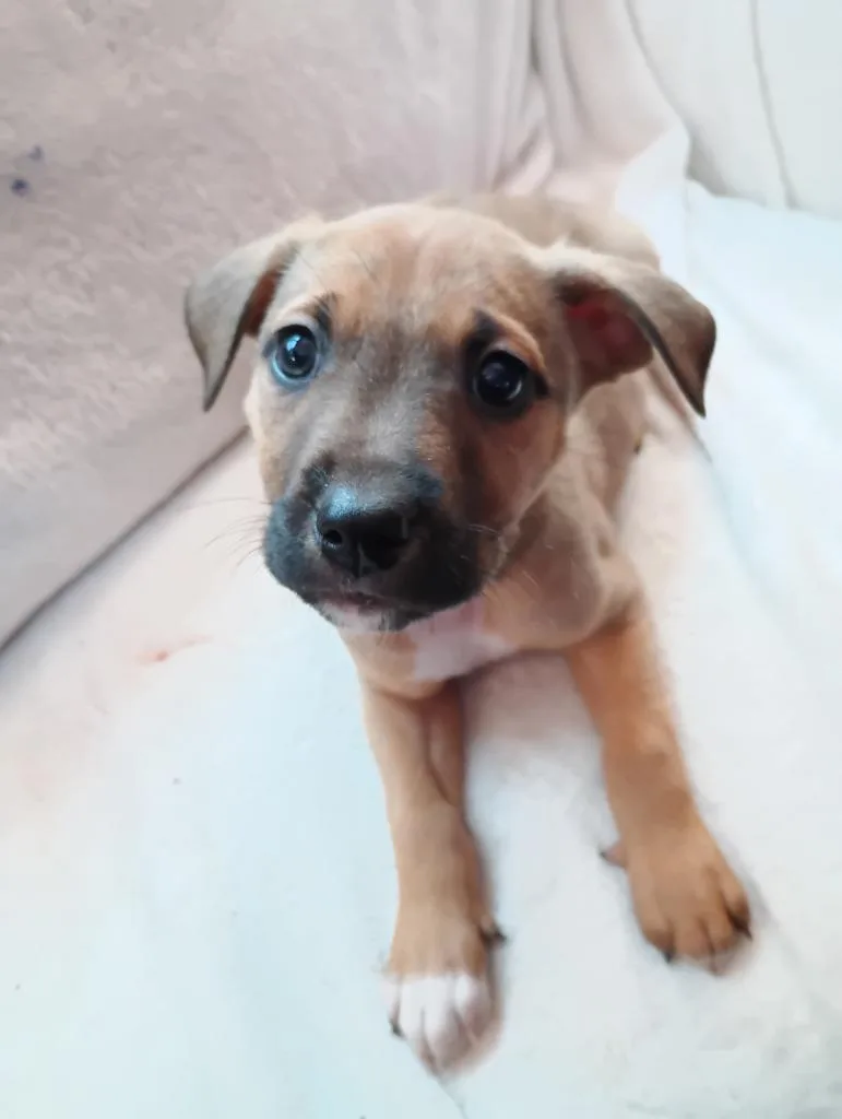 Gabriel $ thumbnail 3