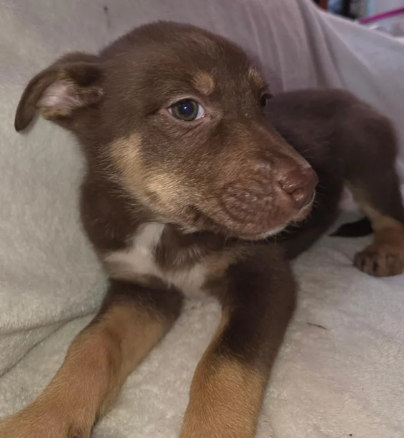 Richard $ thumbnail 3