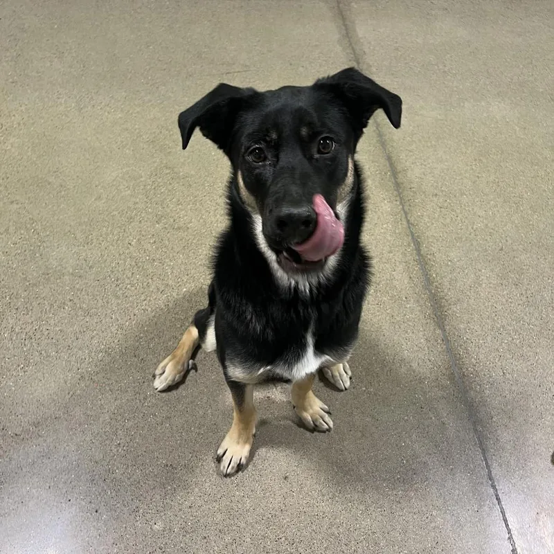 Bailey D thumbnail 2