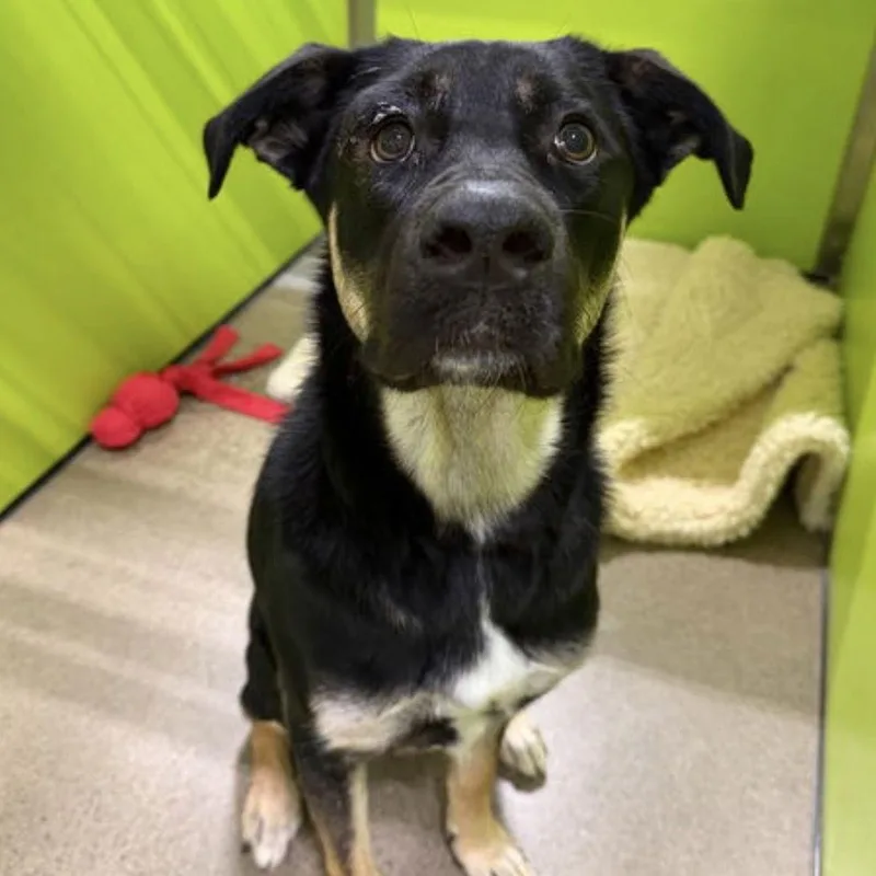 Bailey D thumbnail 5