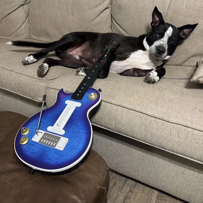 Goliath D thumbnail 6