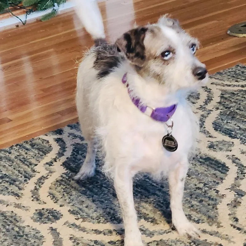 Marble D thumbnail 2