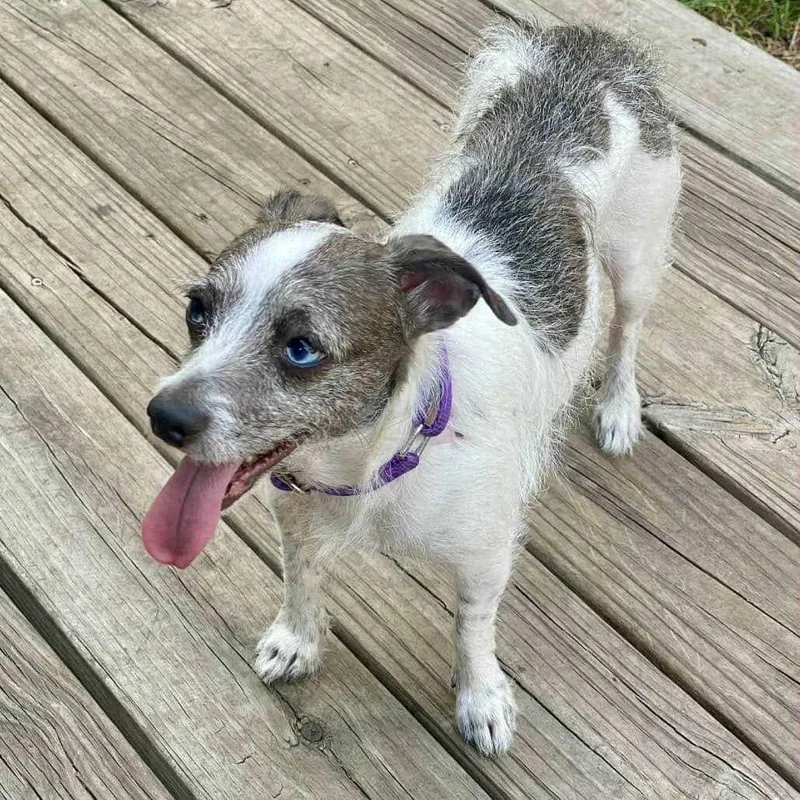 Marble D thumbnail 3