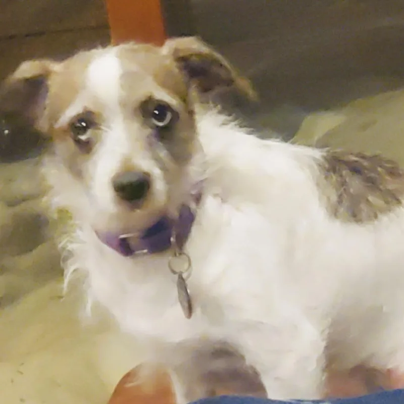 Marble D thumbnail 4