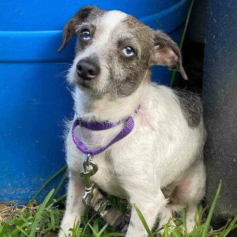 Marble D thumbnail 5