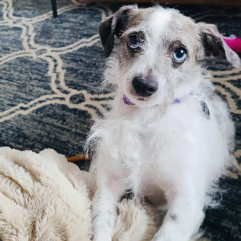 Marble D thumbnail 6