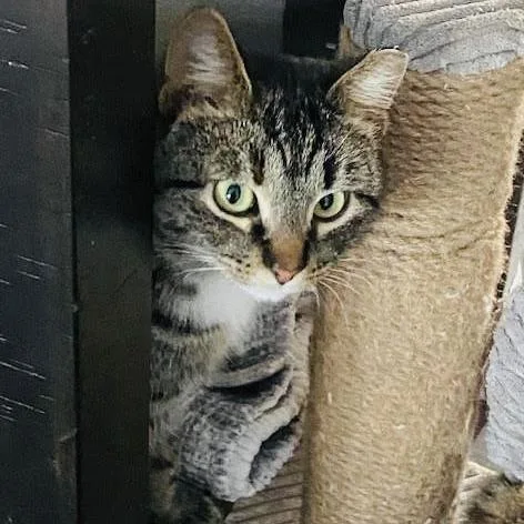 Marbles C thumbnail 2