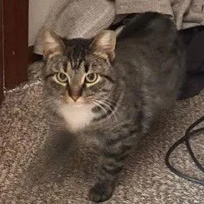 Marbles C thumbnail 3