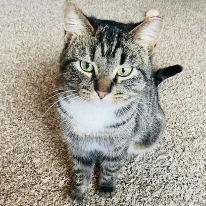 Marbles C thumbnail 4