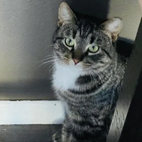 Marbles C thumbnail 5