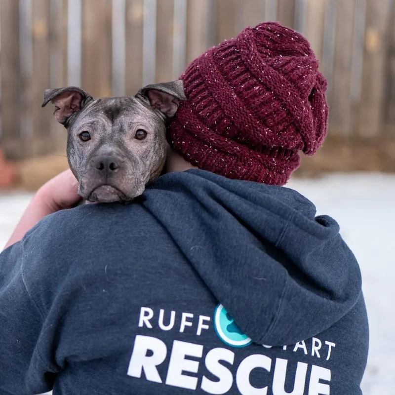 Isekai D thumbnail 3