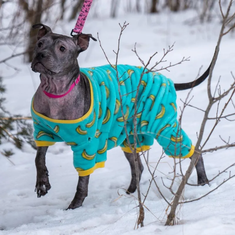 Isekai D thumbnail 4