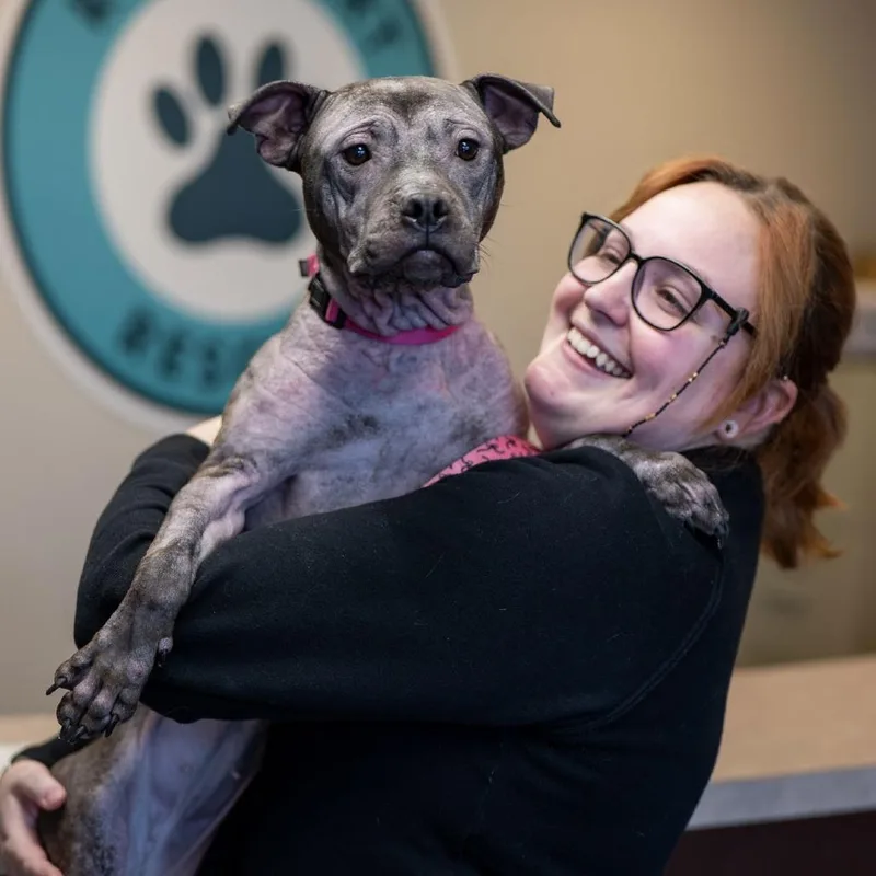 Isekai D thumbnail 5