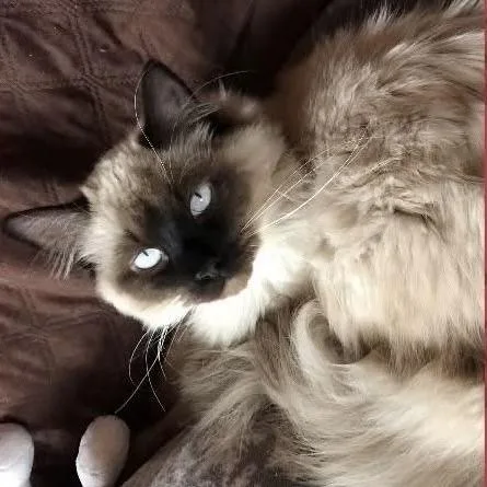 Jordan C thumbnail 2