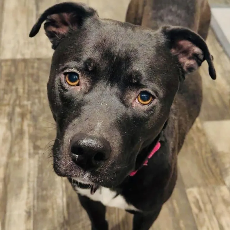 Jupiter D thumbnail 2