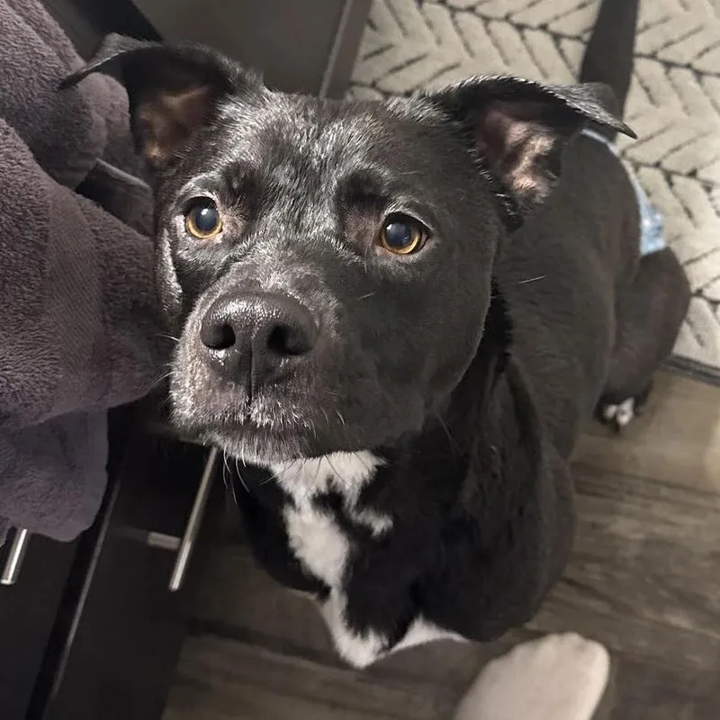 Jupiter D thumbnail 3