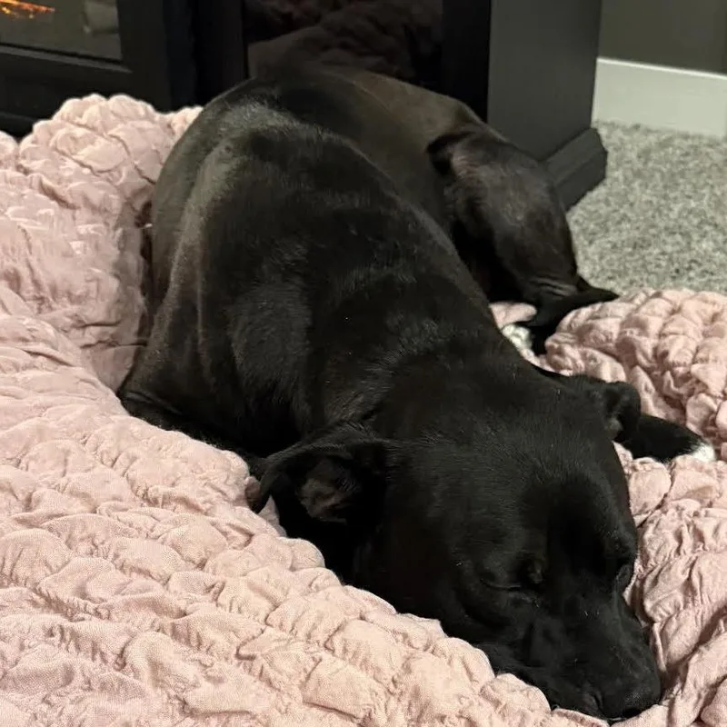 Jupiter D thumbnail 4