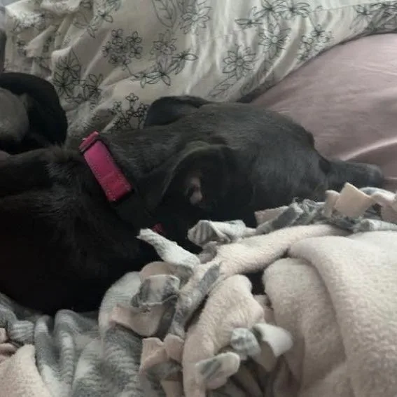 Jupiter D thumbnail 5