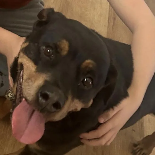 Queenie D thumbnail 4