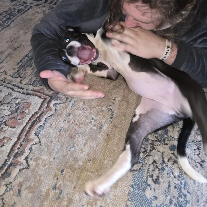 Squeak D thumbnail 2