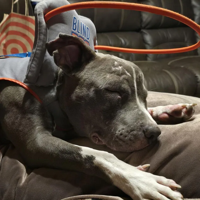 Travis D thumbnail 2