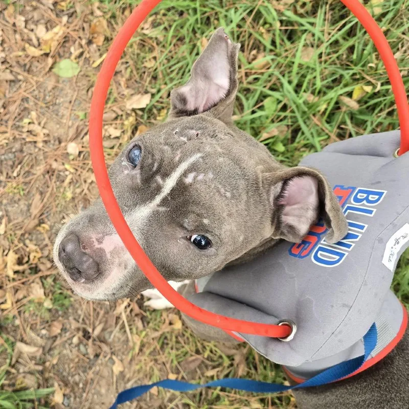 Travis D thumbnail 3