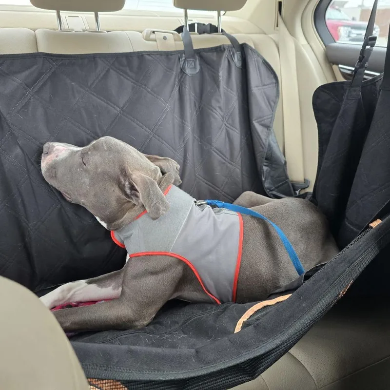 Travis D thumbnail 4