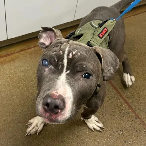 Travis D thumbnail 5