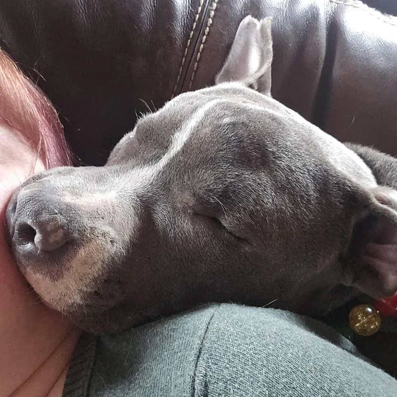 Travis D thumbnail 6