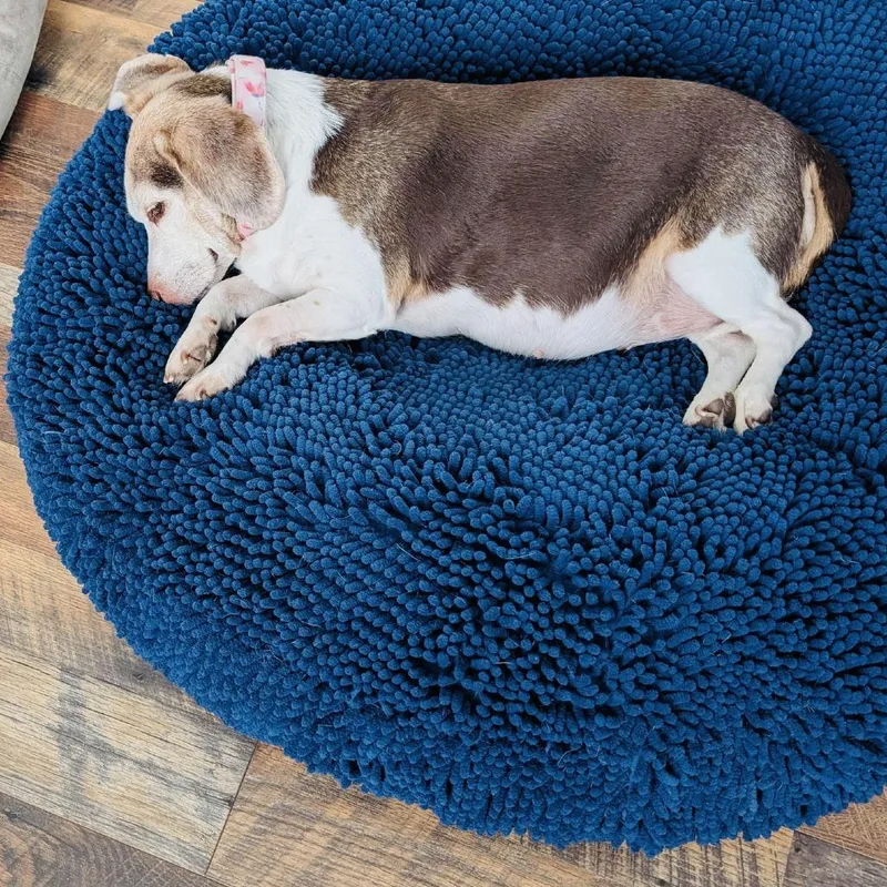 Rosette D thumbnail 3