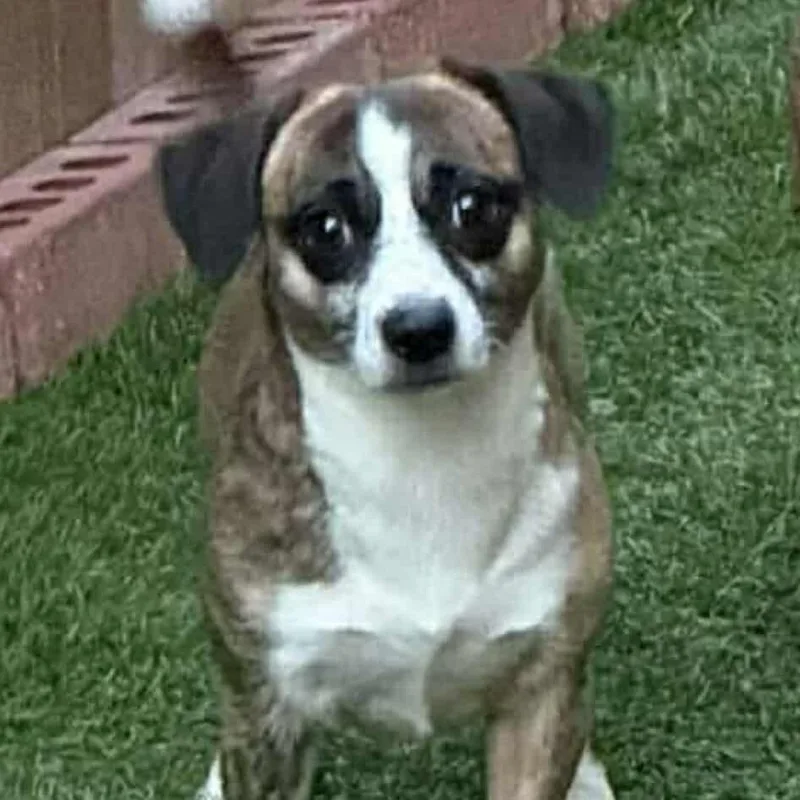 Nicholas D thumbnail 2