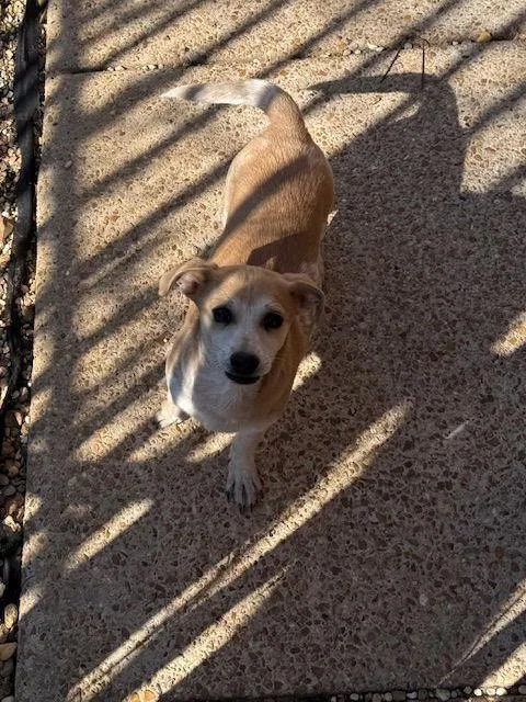 Bubbie Adams thumbnail 2