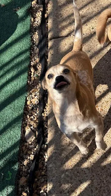 Bubbie Adams thumbnail 3