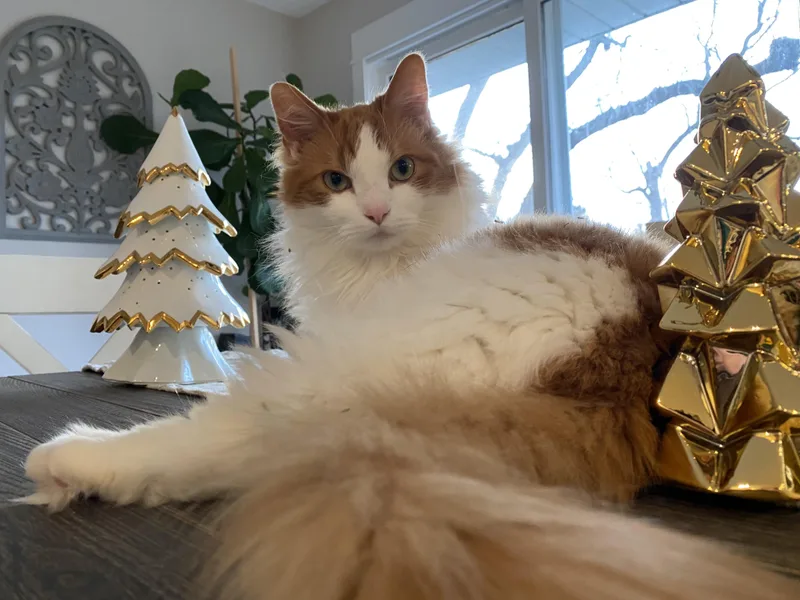 Melvin  Courtesy Listing thumbnail 3