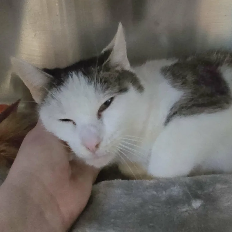 Martha Felv thumbnail 2