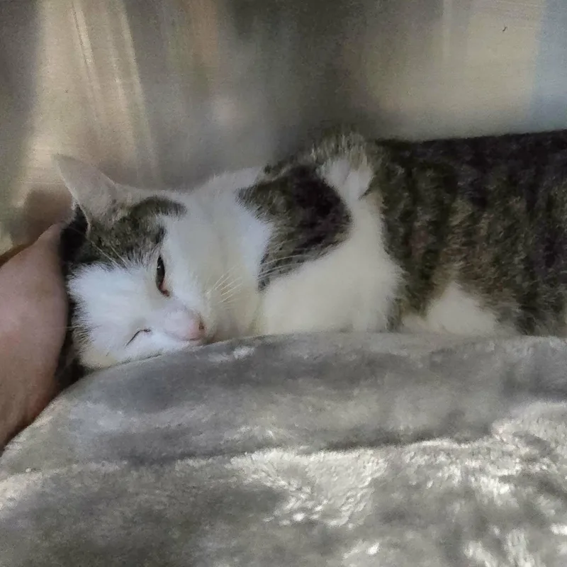 Martha Felv thumbnail 3