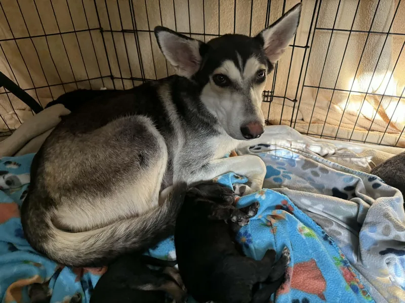 Mama Sosa thumbnail 4