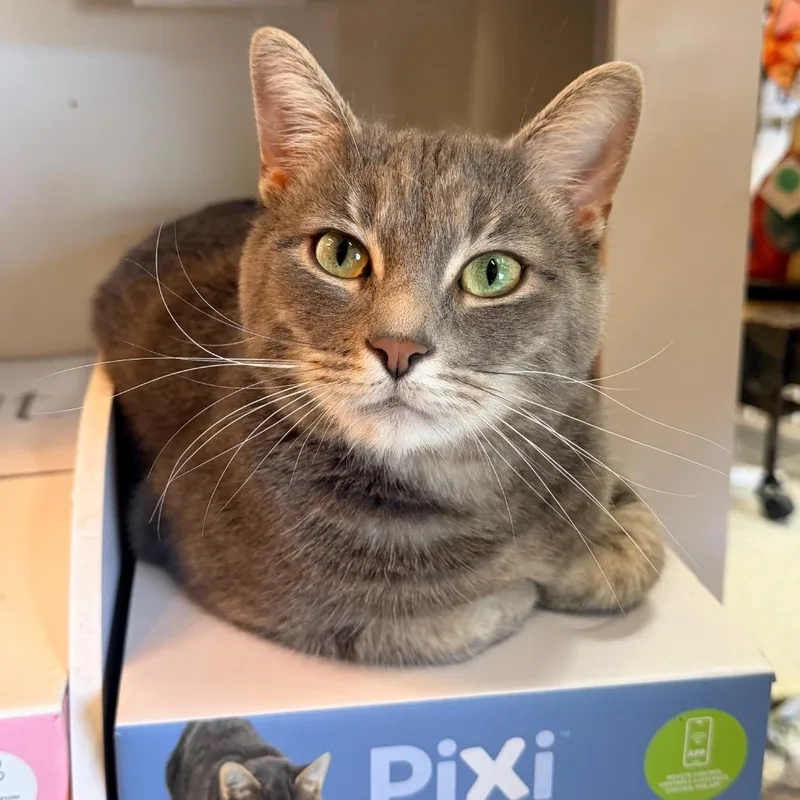 Mr. Bean thumbnail 2