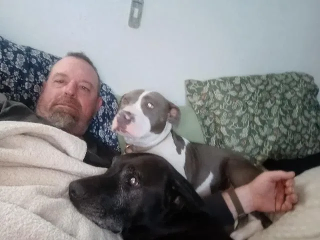 Princess Nellie thumbnail 2