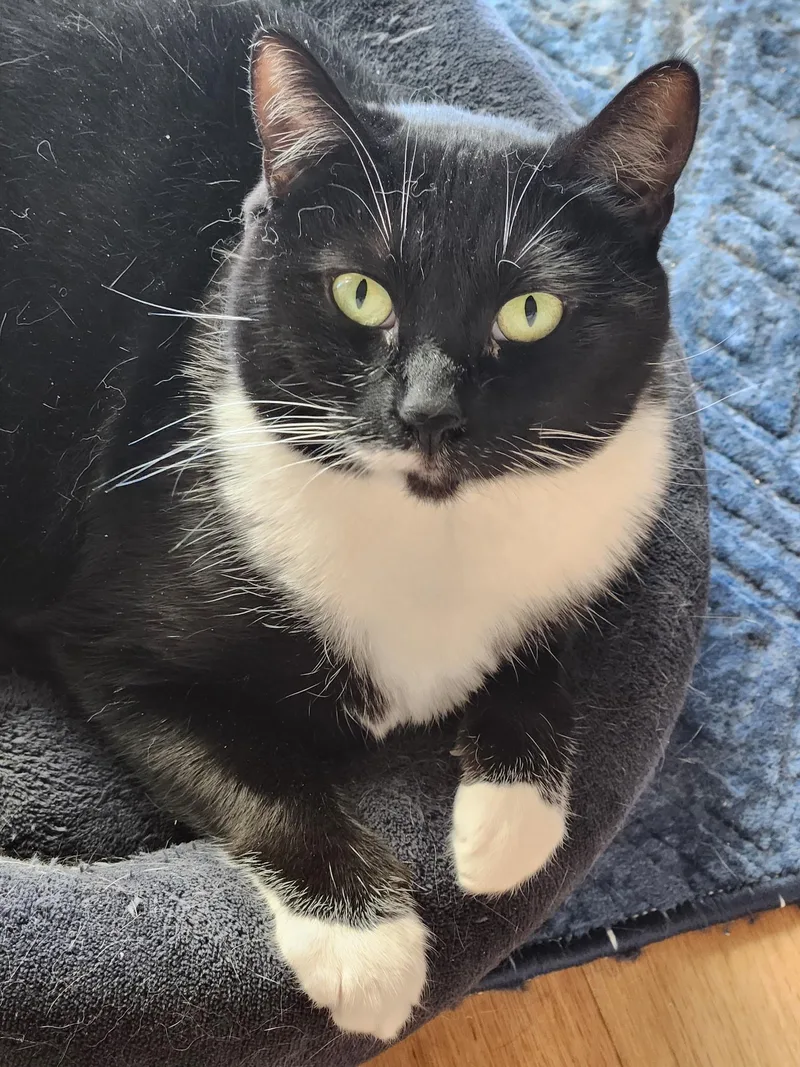 Sweet Sisters Sylvie & thumbnail 2